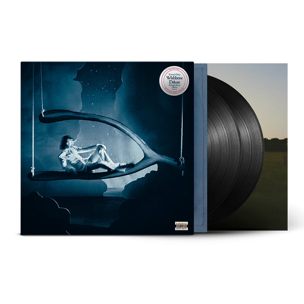Conan Gray - Conan Gray - Wishbone Deluxe 2LP (Midnight Black Edition) (2 Vinil, LP, Album, Deluxe, Midnight Black Edition)
