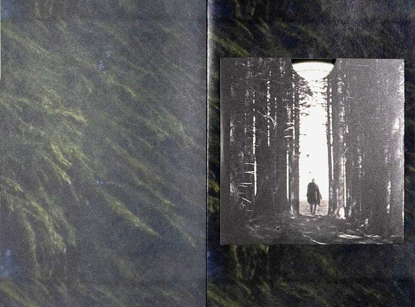 Dermot Kennedy - The Weight Of The Woods