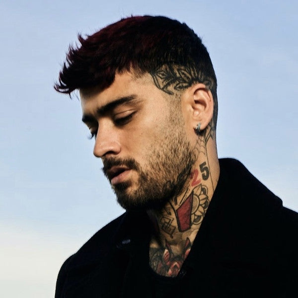 Portrait of ZAYN